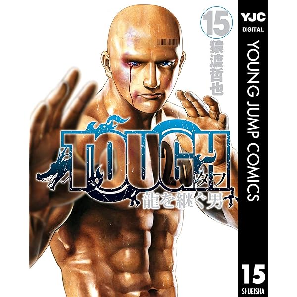 TOUGH 龍を継ぐ男 17 (ヤングジャンプコミックスDIGITAL) | 猿渡